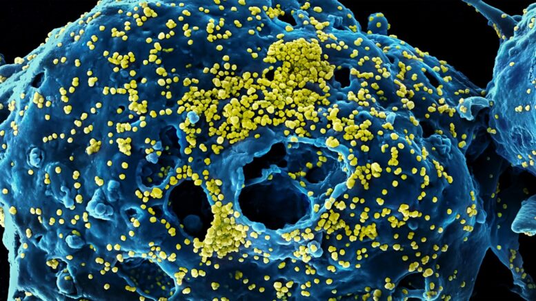 Elite’s Depopulation Agenda is Now Irrefutable