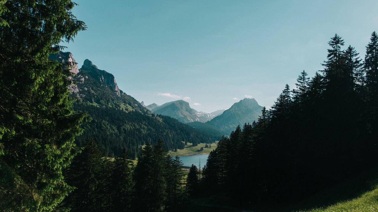 Regional Income Differences in the United States