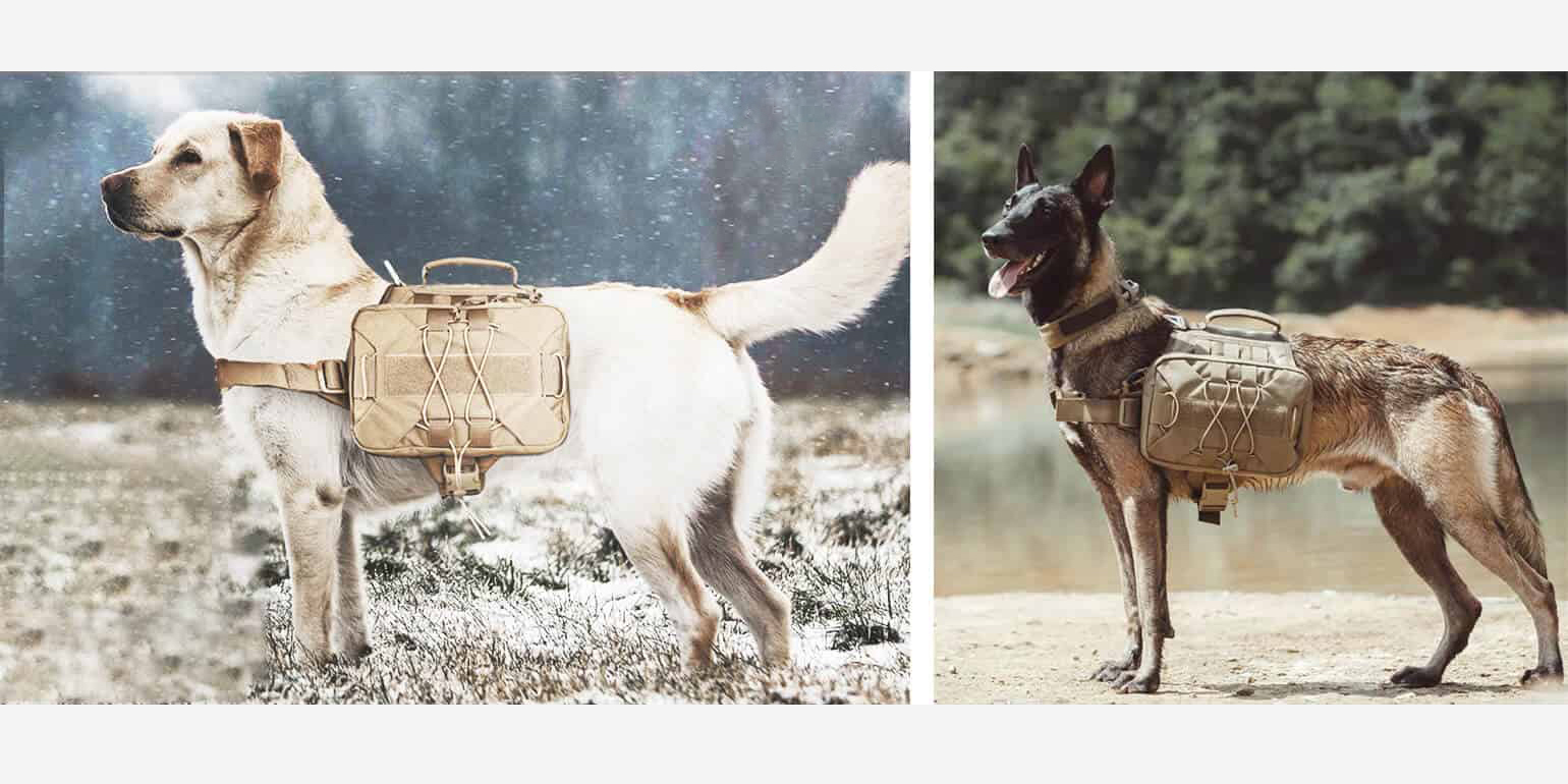 Reasons Why You Should Get Your Dog a Tactical Dog Harness