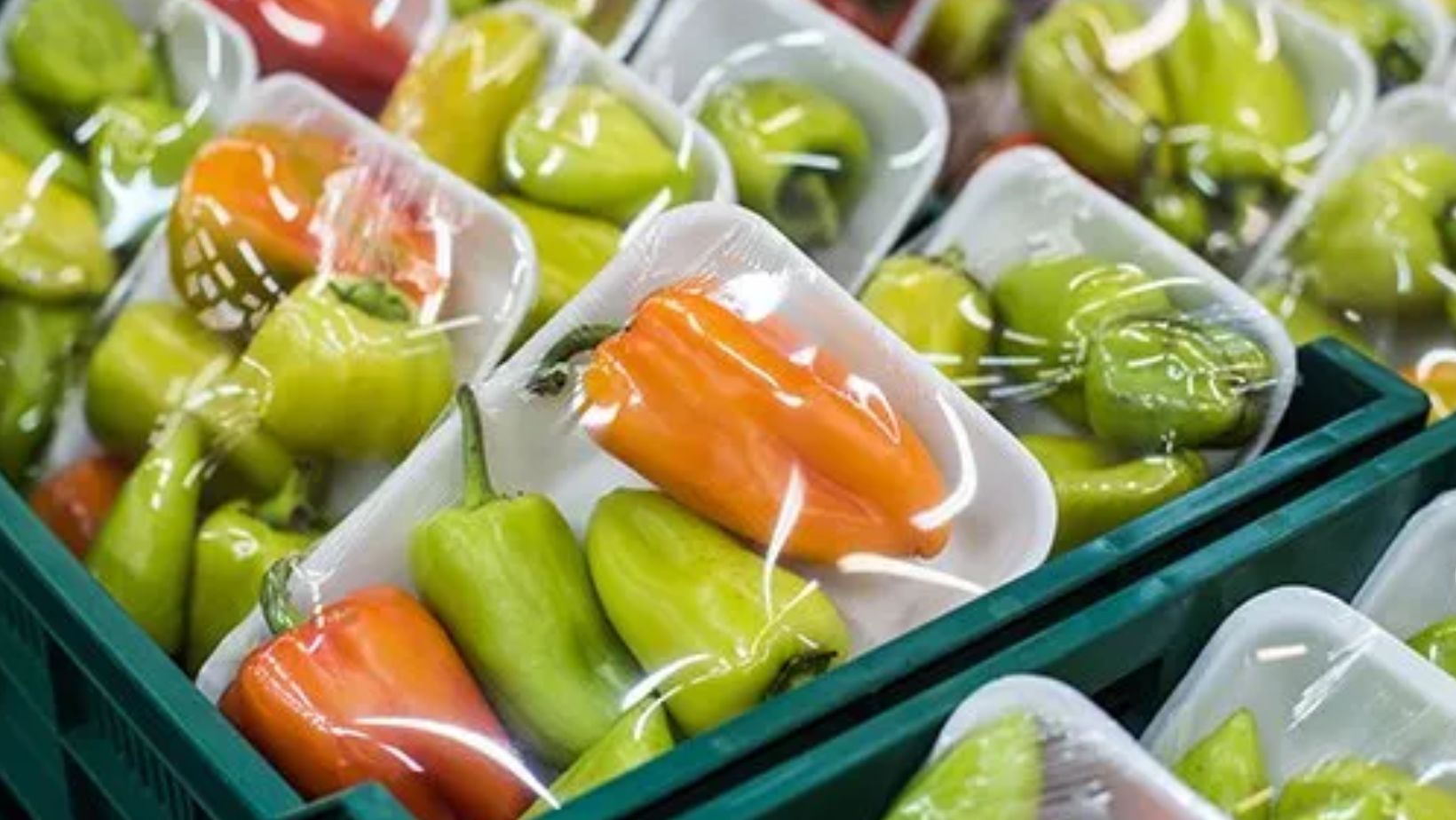 What Products Do KEEPTOP Packaging Offers?