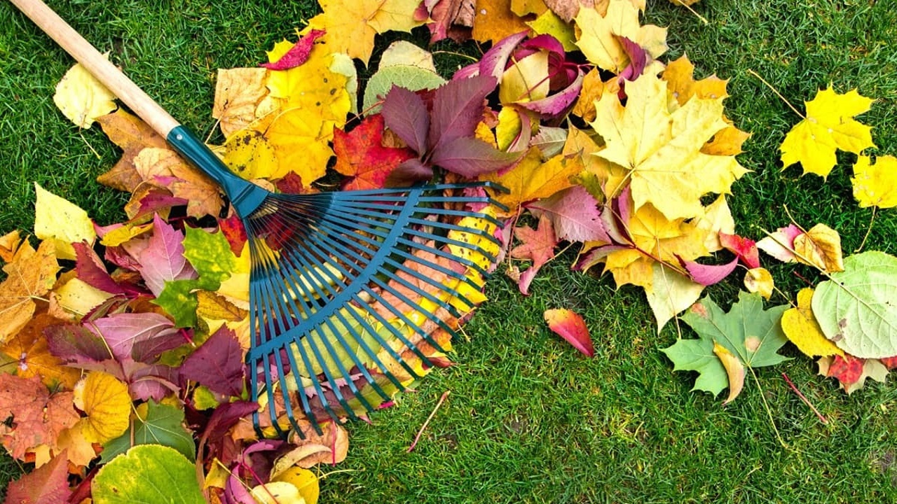 Harvesting Happiness: The Incredible Benefits of Using a Garden Rake in Gardening