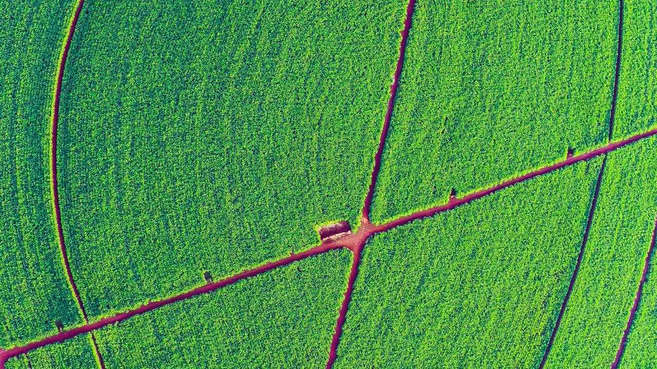 What Makes LoRa the Right Protocol for Agricultural Sensor Networks — and What the Antenna Has to Do With It